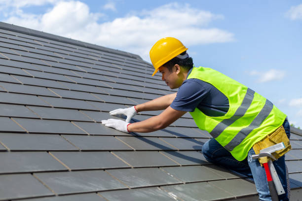 Best Sheet Metal Roofing  in Halifax, VA