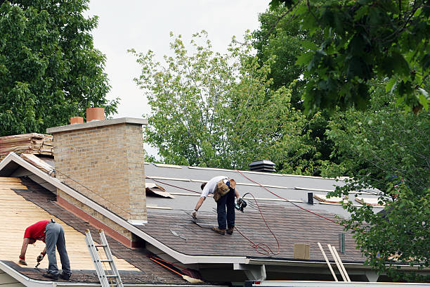Best Gutter Installation and Repair  in Halifax, VA