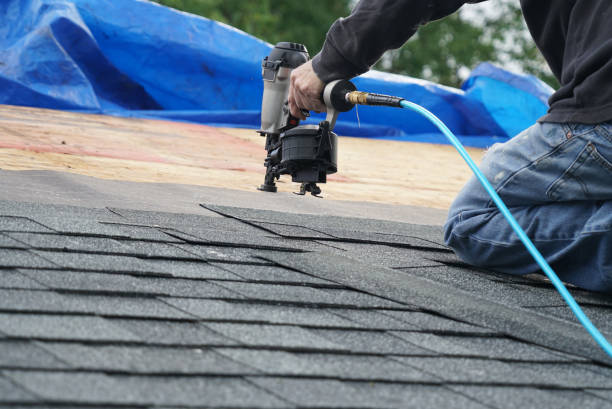 Best Roof Moss and Algae Removal  in Halifax, VA